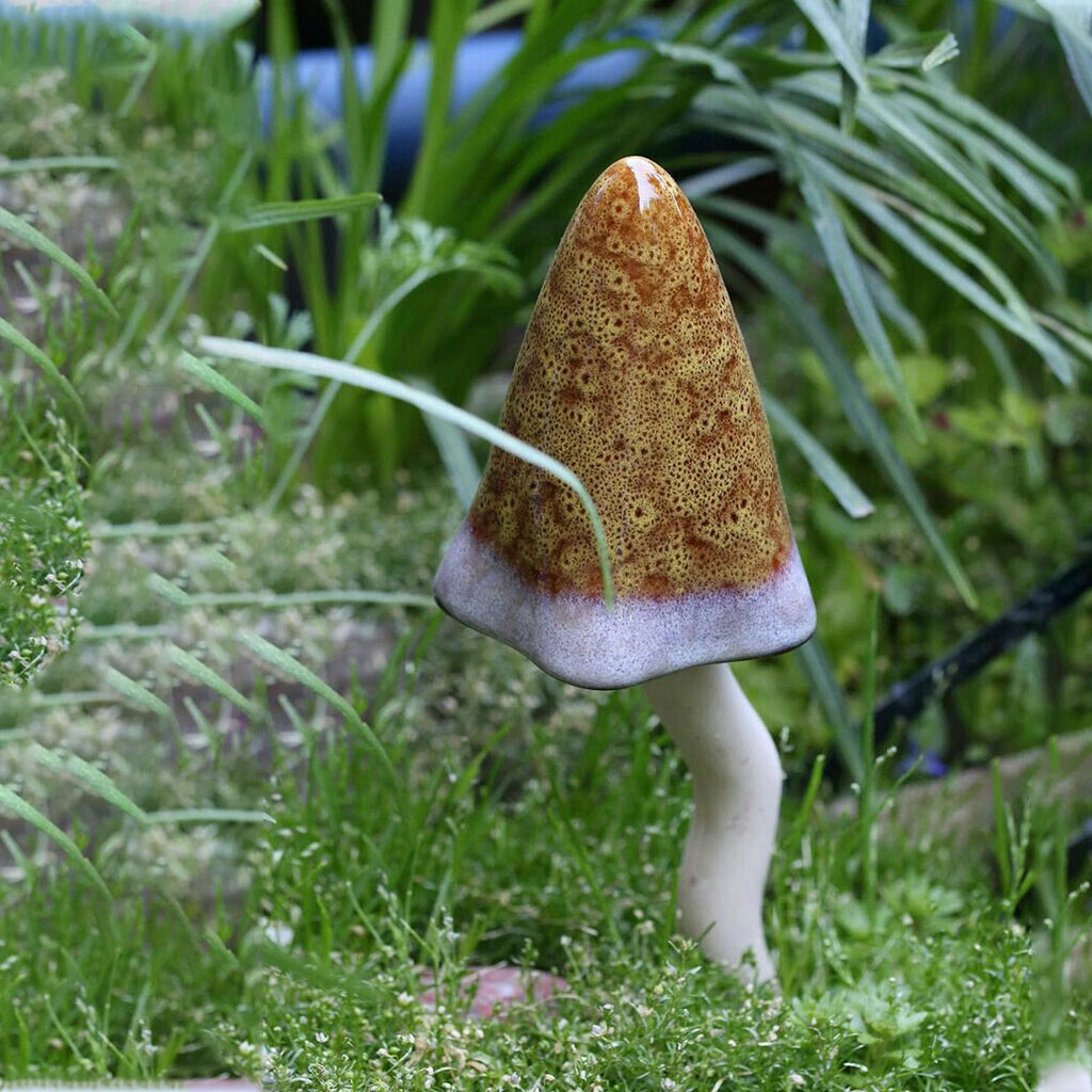 Mosquito Repelling Mushrooms