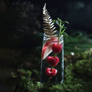 Enchanted Elixir of the Forest